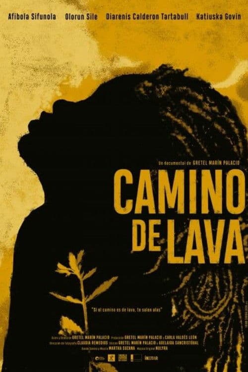 Camino de lava