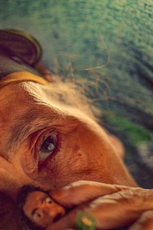 그 모든 거짓말의 어머니