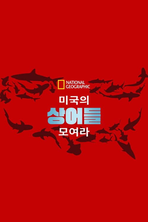 United Sharks of America