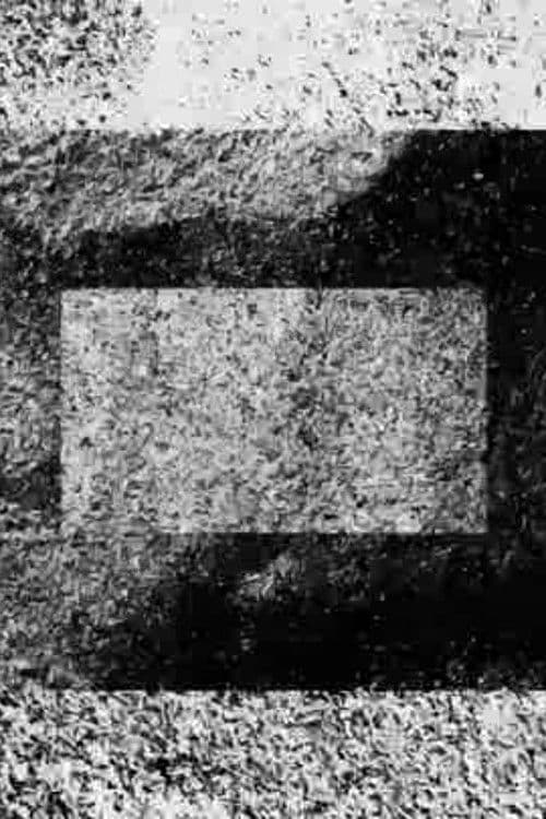 生態系-29-密度3