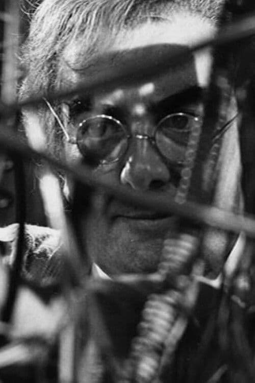 Something in the Cellar