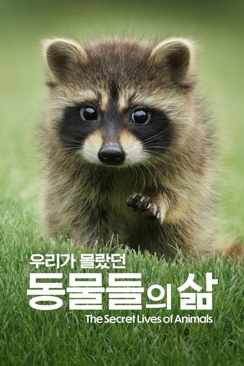 '우리가 몰랐던 동물들의 삶' - The Secret Lives of Animals