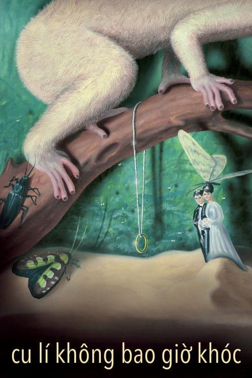 쿨리는 울지 않는다