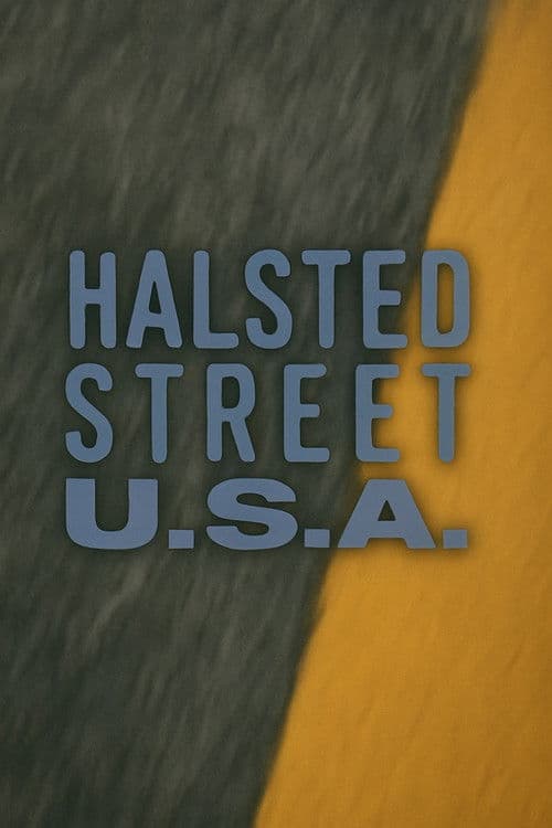 Halsted Street, USA