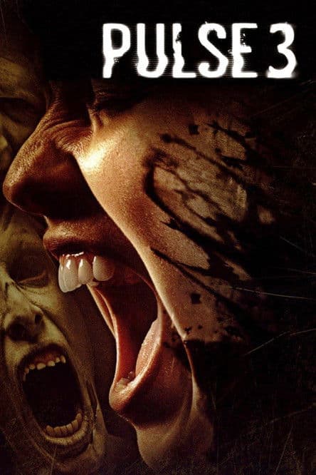 펄스 3