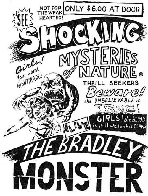 Basket Case 3-1/2: An Interview With Duane Bradley