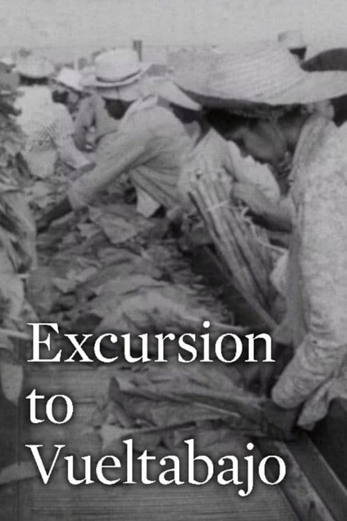 Excursión a Vueltabajo