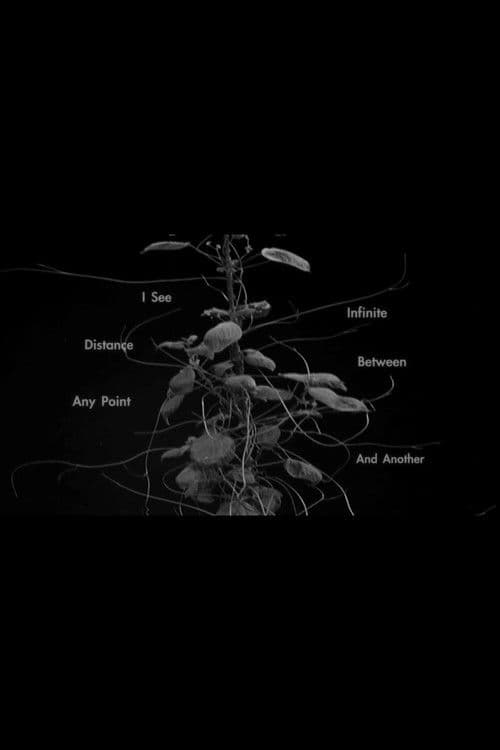 I See Infinite Distance Between Any Point and Another