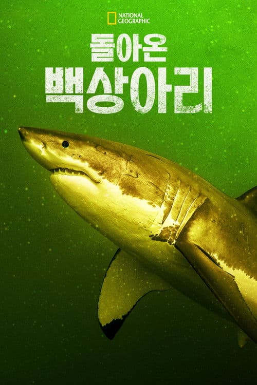 돌아온 백상아리