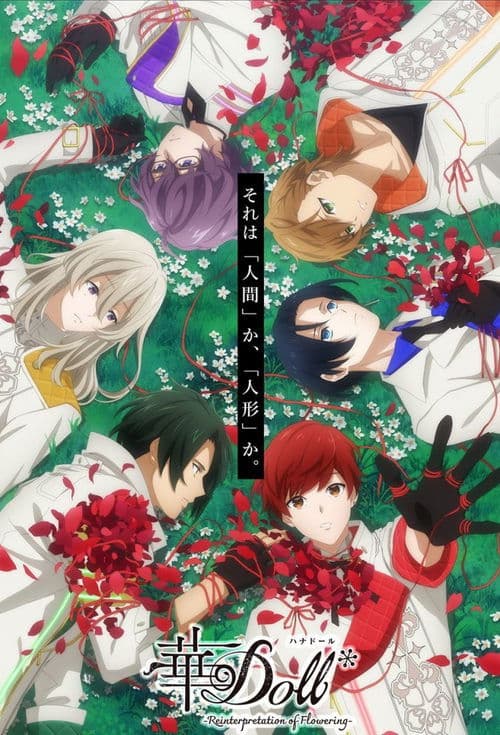 하나돌*-Reinterpretation of Flowering-