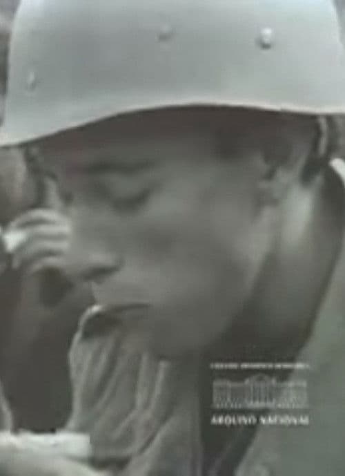 Brasil - FEB na Itália