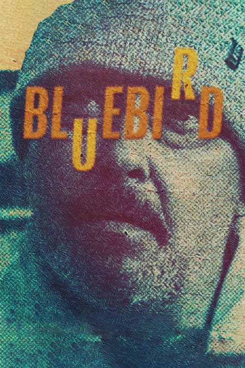 Bluebird