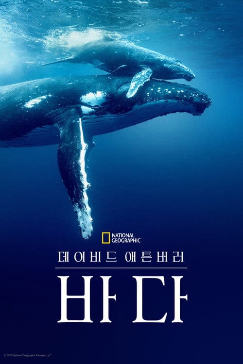 데이비드 애튼버러: 바다