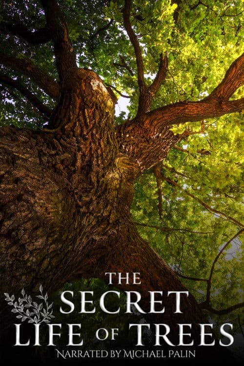 The Secret Life of Trees