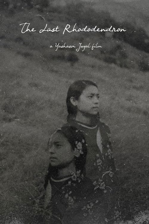 आखरी बुरांश