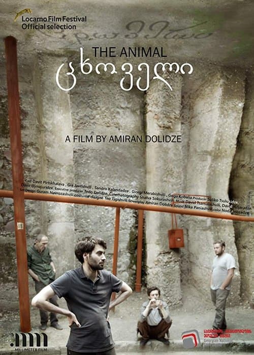 ცხოველი