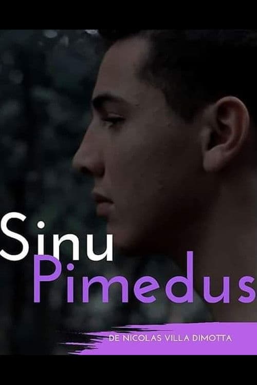 Sinu Pimedus
