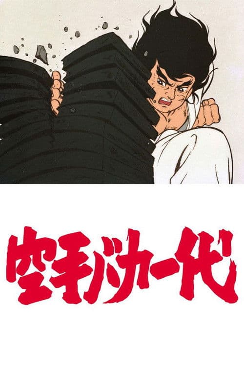 공수도 바보 일대