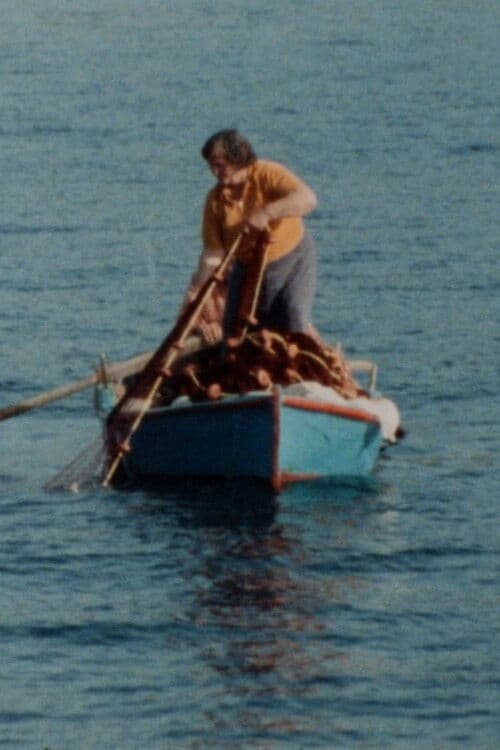 Φούρνοι, μια γυναικεία κοινωνία