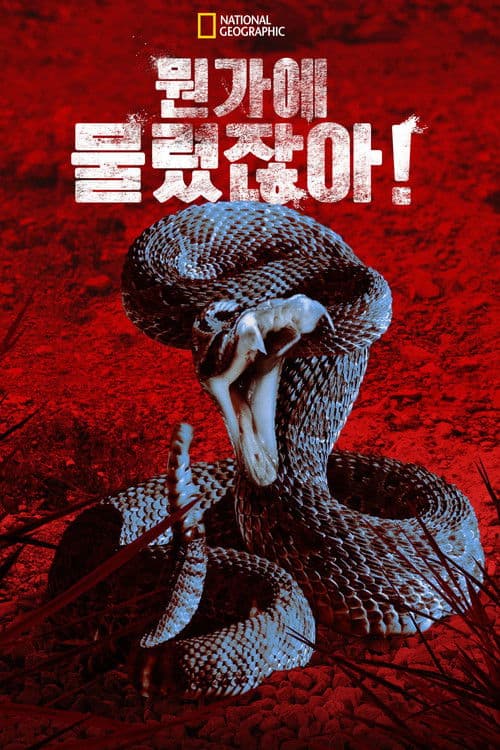 무언가에 물렸어요!