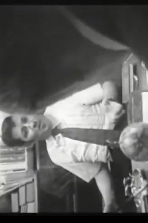 Who Shot Alexander Hamilton