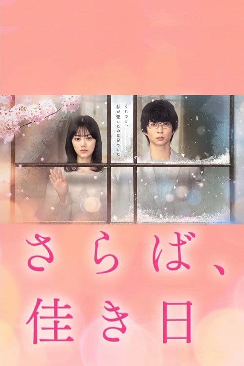 안녕, 아름다운 날