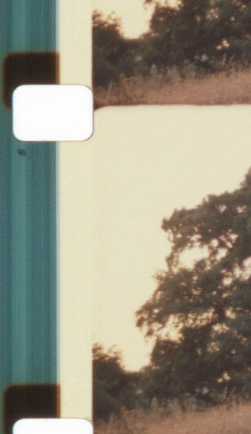 Luz, Clarão, Fulgor - Augúrios Para Um Enquadramento Não-Hierárquico e Venturoso