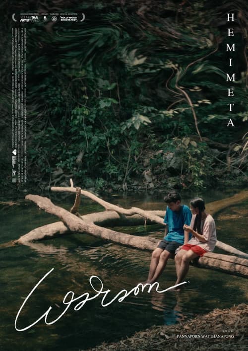 เฮมิเมตา