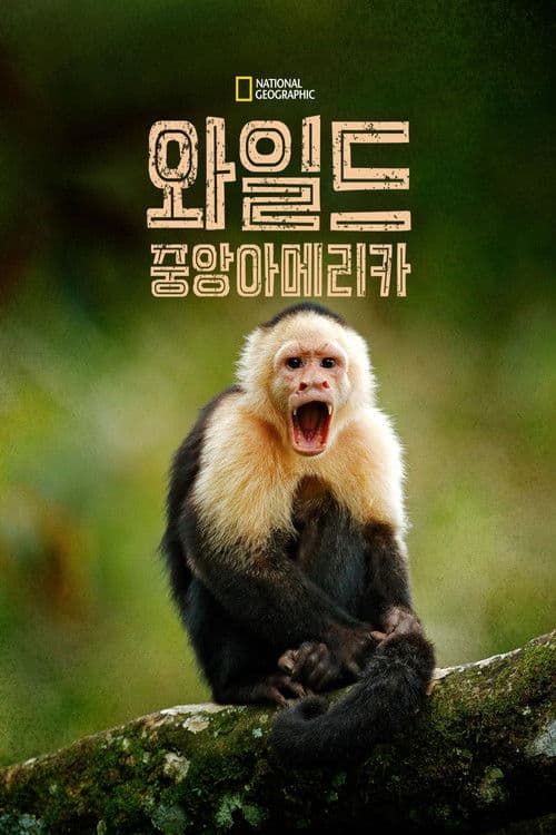 와일드 중앙아메리카