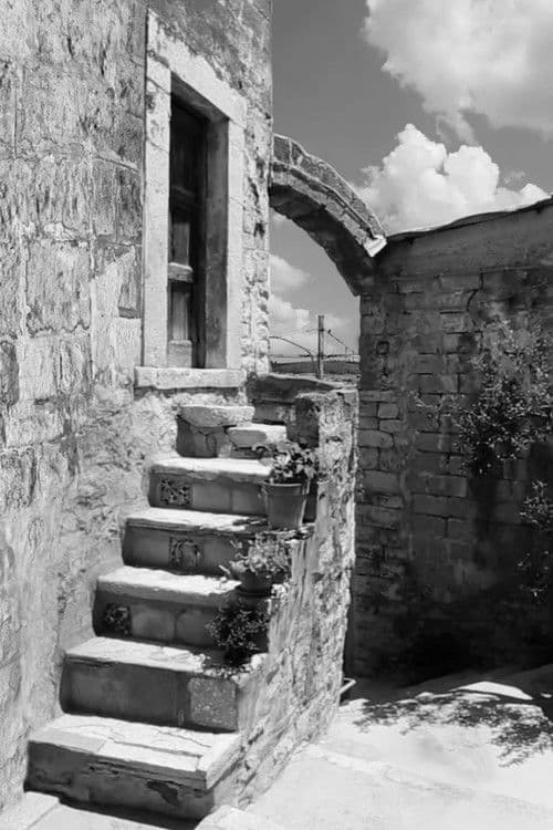 집으로 데려다 주오