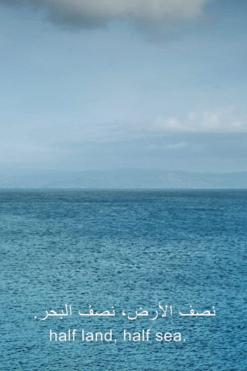 one emerging from a point of view