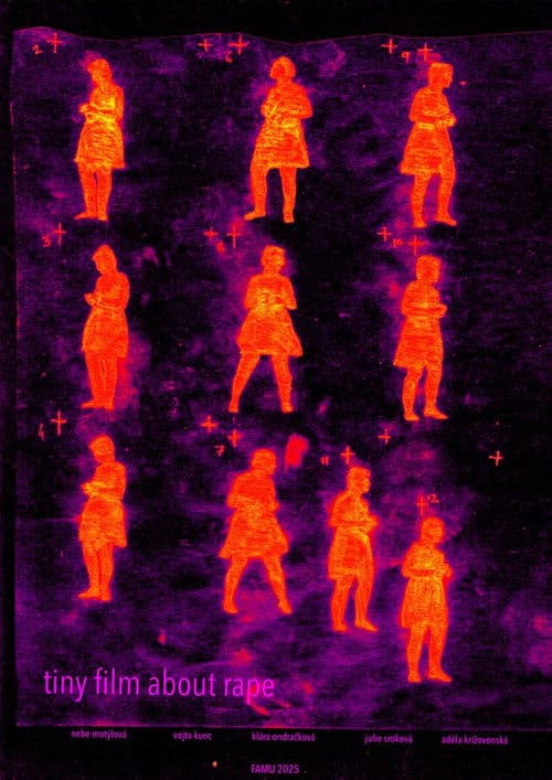 malý film o znásilnění