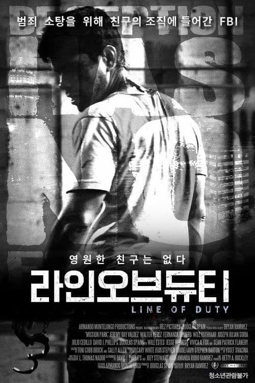 라인 오브 듀티