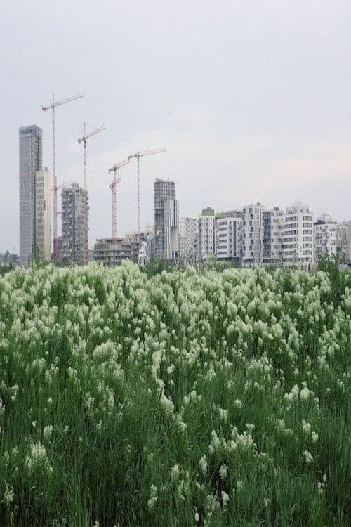 Die beste Stadt ist keine Stadt