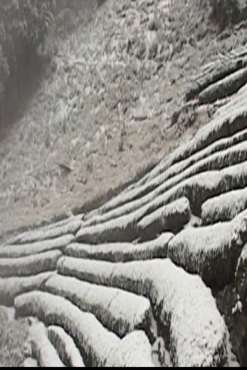 天竜区奥領家大沢　冬