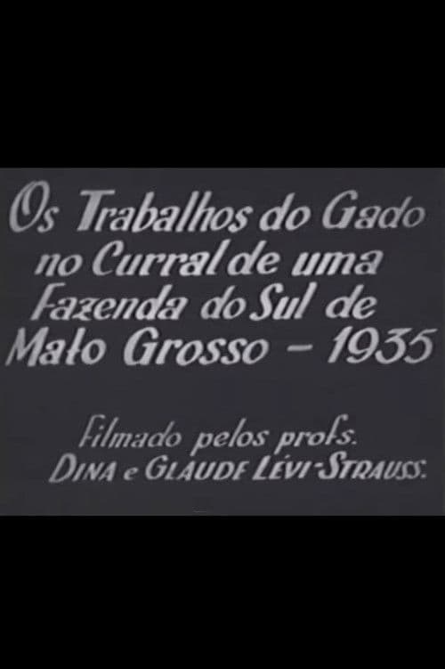 Os Trabalhos do Gado no Curral de uma Fazenda do sul do Mato Grosso