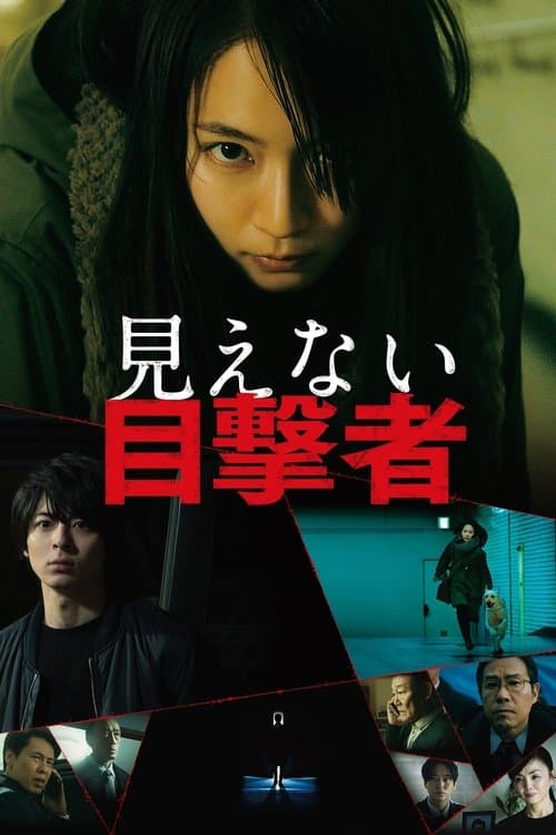 보이지 않는 목격자