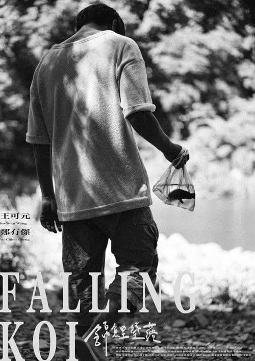 錦鯉墜落