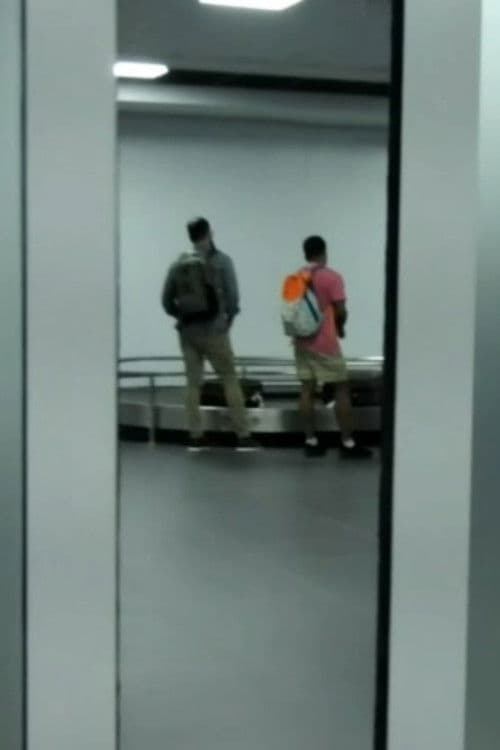 A Chegada de Avelino