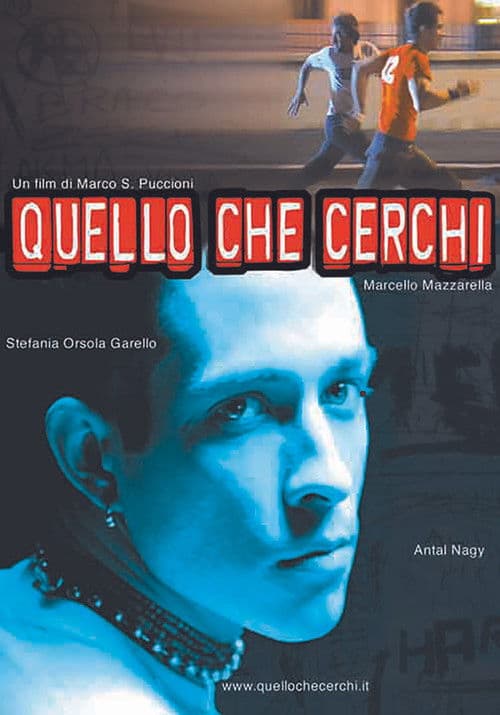 Quello che cerchi