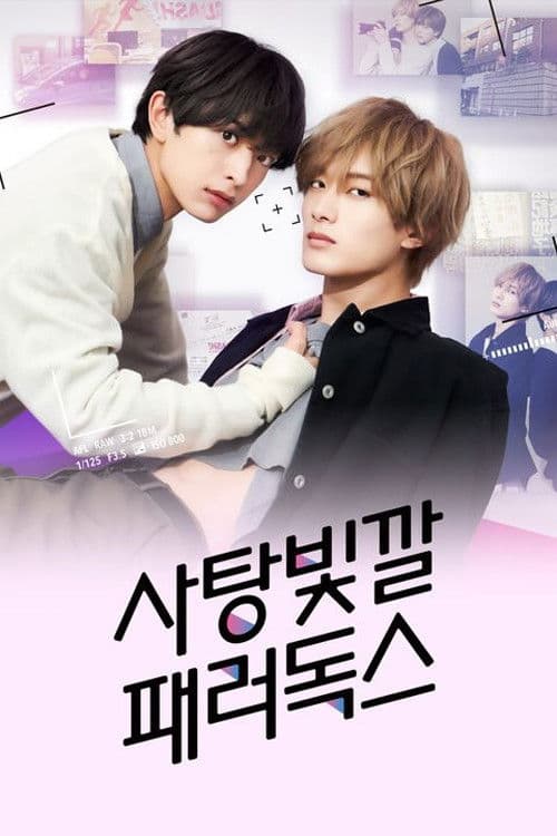 사탕빛깔 패러독스