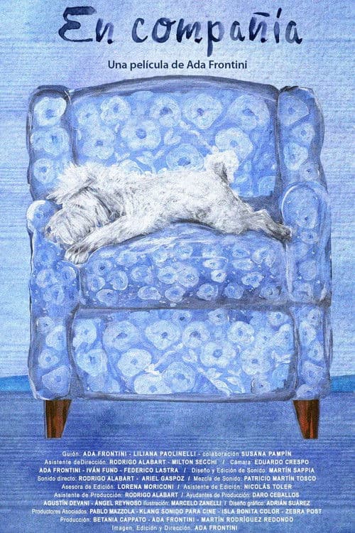 강아지와 함께한 날들