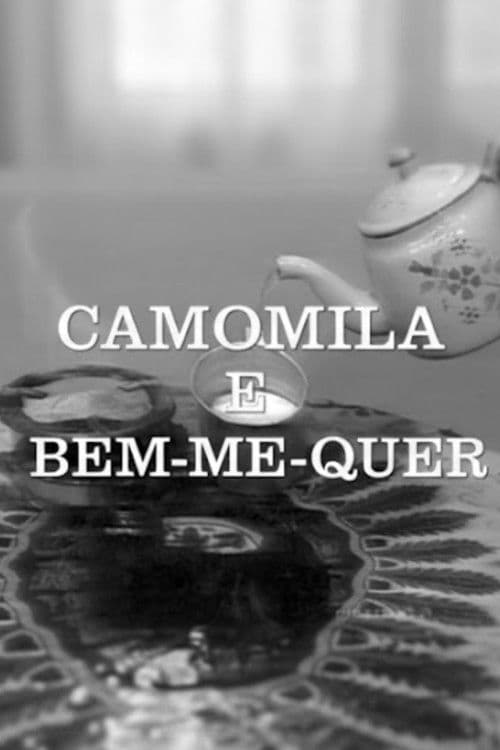 Camomila e Bem-Me-Quer