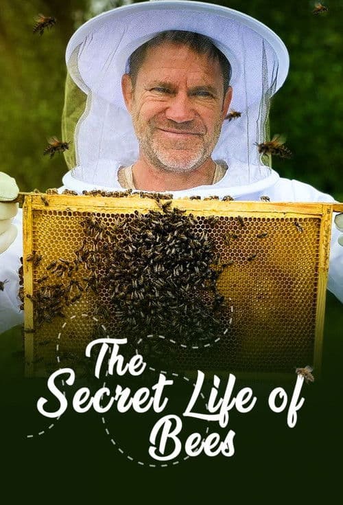 The Secret Life of Bees