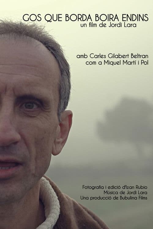 Gos que borda boira endins