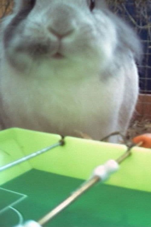 Zwei absolute Giganten