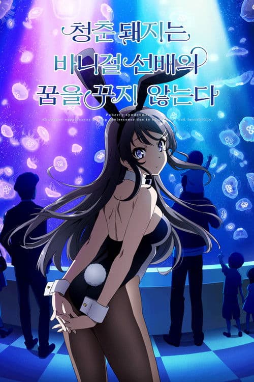 청춘 돼지는 바니걸 선배의 꿈을 꾸지 않는다