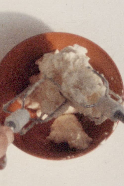 Der Sadist schlägt das eindeutig Unschuldige