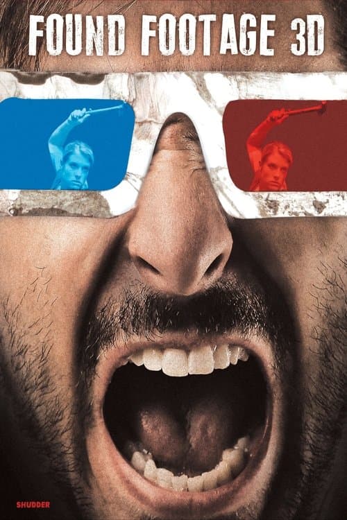 파운드 풋티지 3D