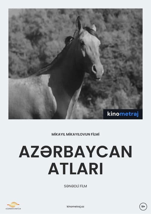 Azərbaycan atları
